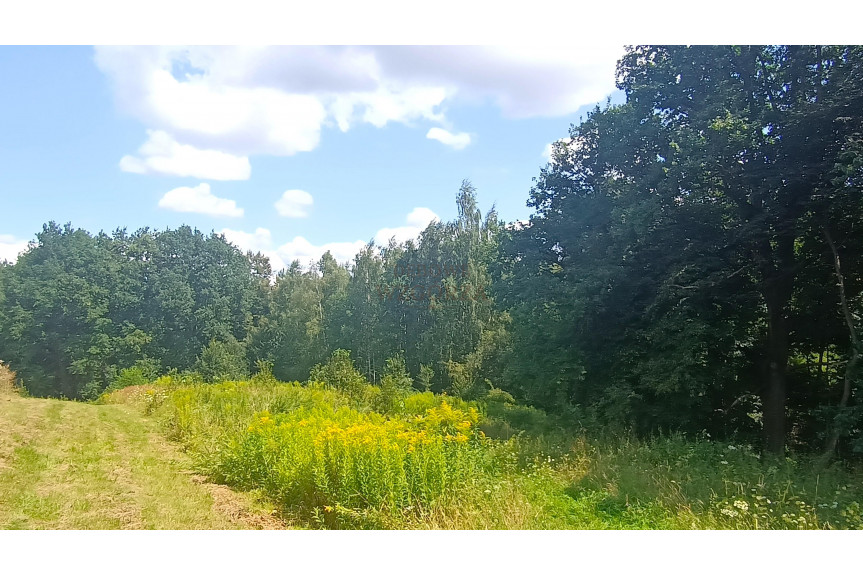 wielicki, Wieliczka, Jankówka, Jankówka działka budowlana 16 ar/92.000 zł OKAZJA!